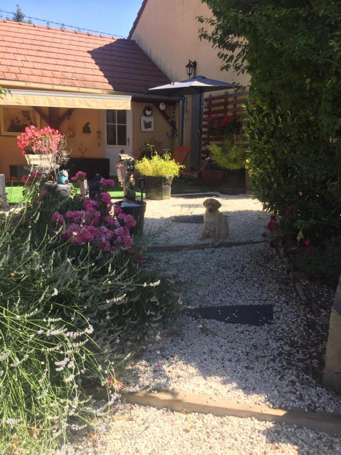 Le Jardin De Theleme "Charme Discret Pour Un Nid Douillet" Villa Mazille Exteriör bild
