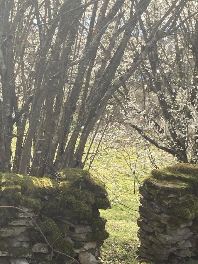 Le Jardin De Theleme "Charme Discret Pour Un Nid Douillet" Villa Mazille Exteriör bild